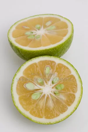 সিলেটি ফ্রেশ সাতকরা
