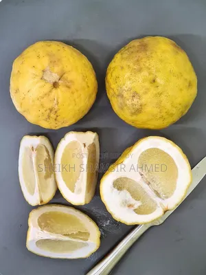 Sylheti Fresh Shatkora