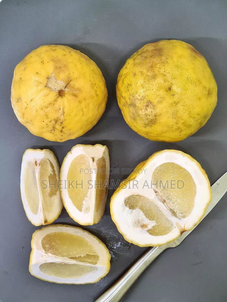 Sylheti Fresh Shatkora