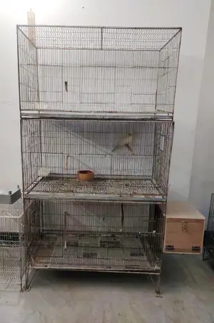 Cage for sale