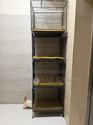 Chicken and Bird Cage