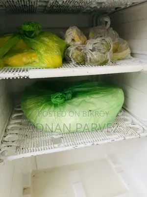 Lg Refrigerator
