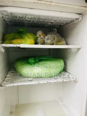 Lg Refrigerator