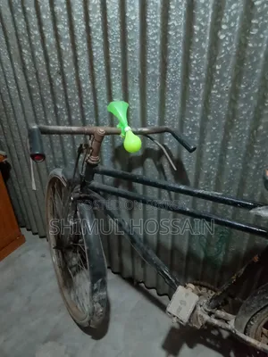 Original Phoenix Cycle
