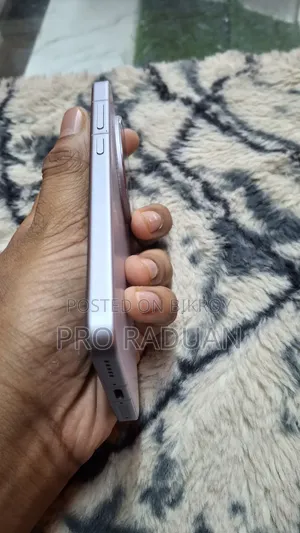 Vivo X200 Pro Mini 256 GB Silver
