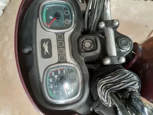TVS 2021 Brown