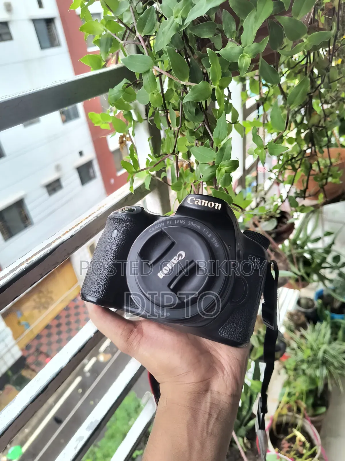 Canon 70d With Prime and Kit Lens