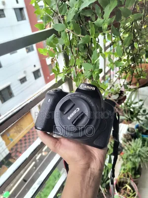 Canon 70d With Prime and Kit Lens