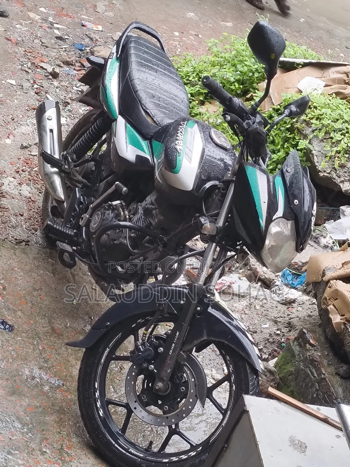Bajaj Discover 125 2022 Green