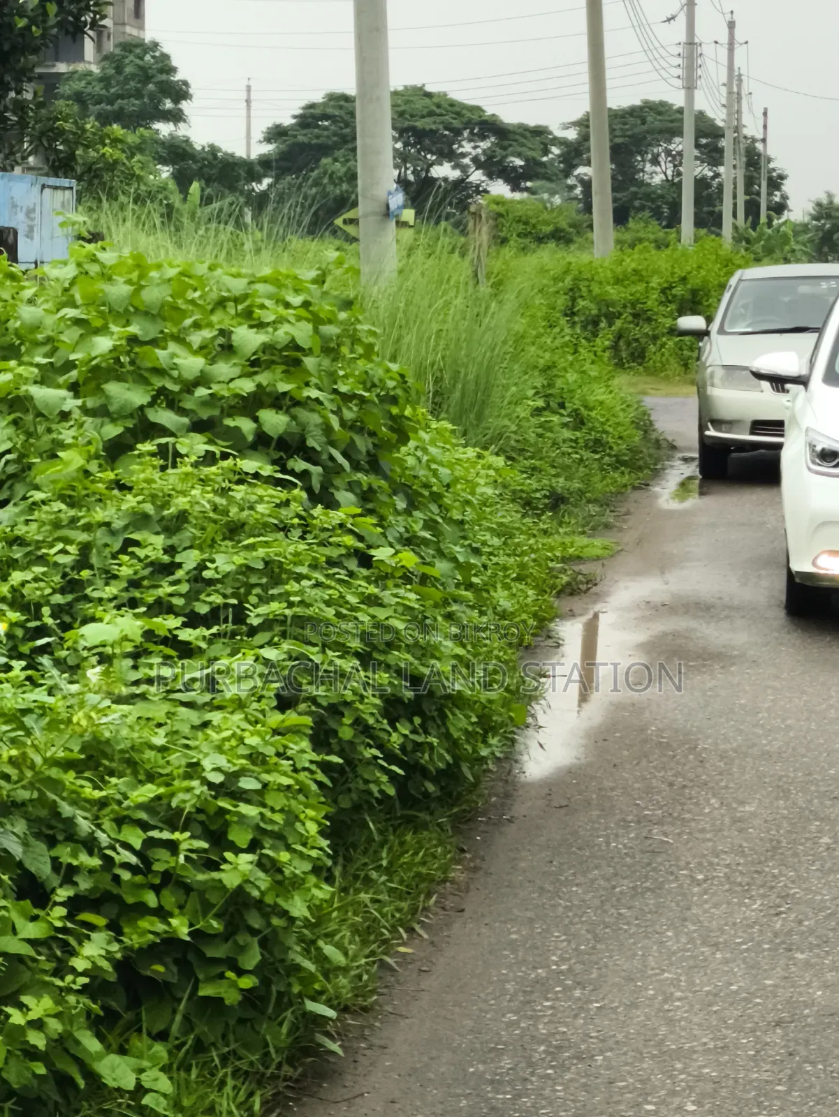 ৫৪ ফুট রোড দক্ষিণ-পূর্ব কর্নার ৫ কাঠা প্লট বিক্রয় সেক্টর: ১৫, পূর্বাচল।