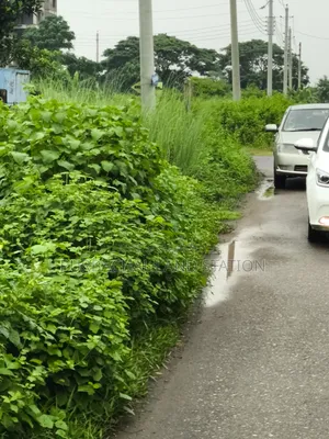 ৫৪ ফুট রোড দক্ষিণ-পূর্ব কর্নার ৫ কাঠা প্লট বিক্রয় সেক্টর: ১৫, পূর্বাচল।