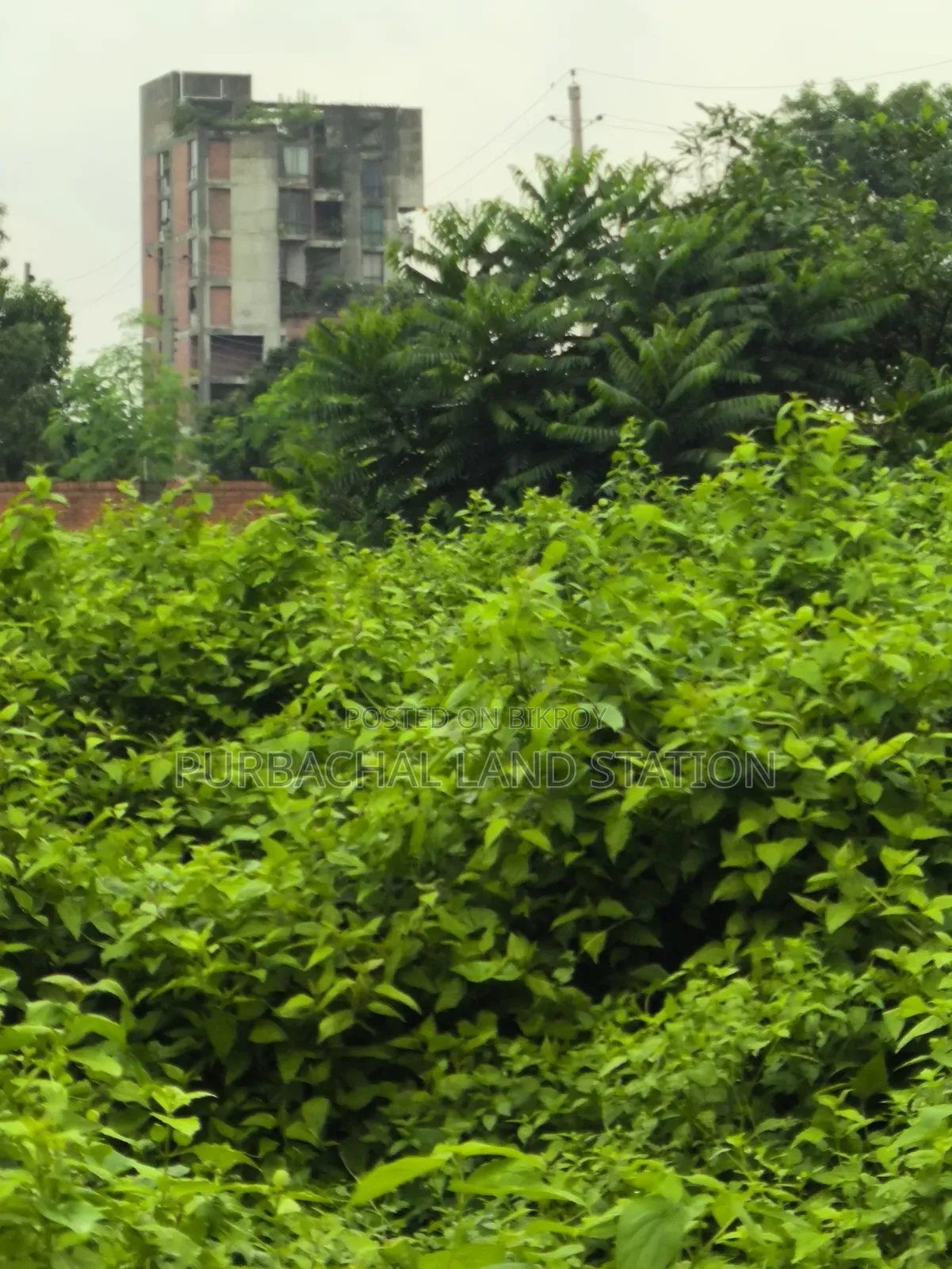 ৫৪ ফুট রোড দক্ষিণ-পূর্ব কর্নার ৫ কাঠা প্লট বিক্রয় সেক্টর: ১৫, পূর্বাচল।