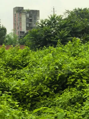 ৫৪ ফুট রোড দক্ষিণ-পূর্ব কর্নার ৫ কাঠা প্লট বিক্রয় সেক্টর: ১৫, পূর্বাচল।