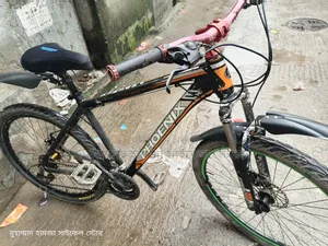 Phoniex Ger Cycle Allow Body 26"