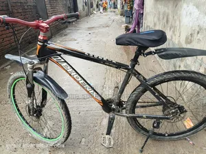Phoniex Ger Cycle Allow Body 26"