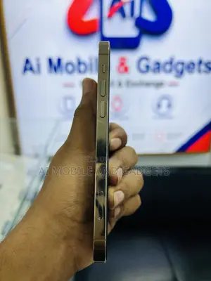 অ্যাপল আইফোন ১২ প্রো ২৫৬ জিবি গোল্ড