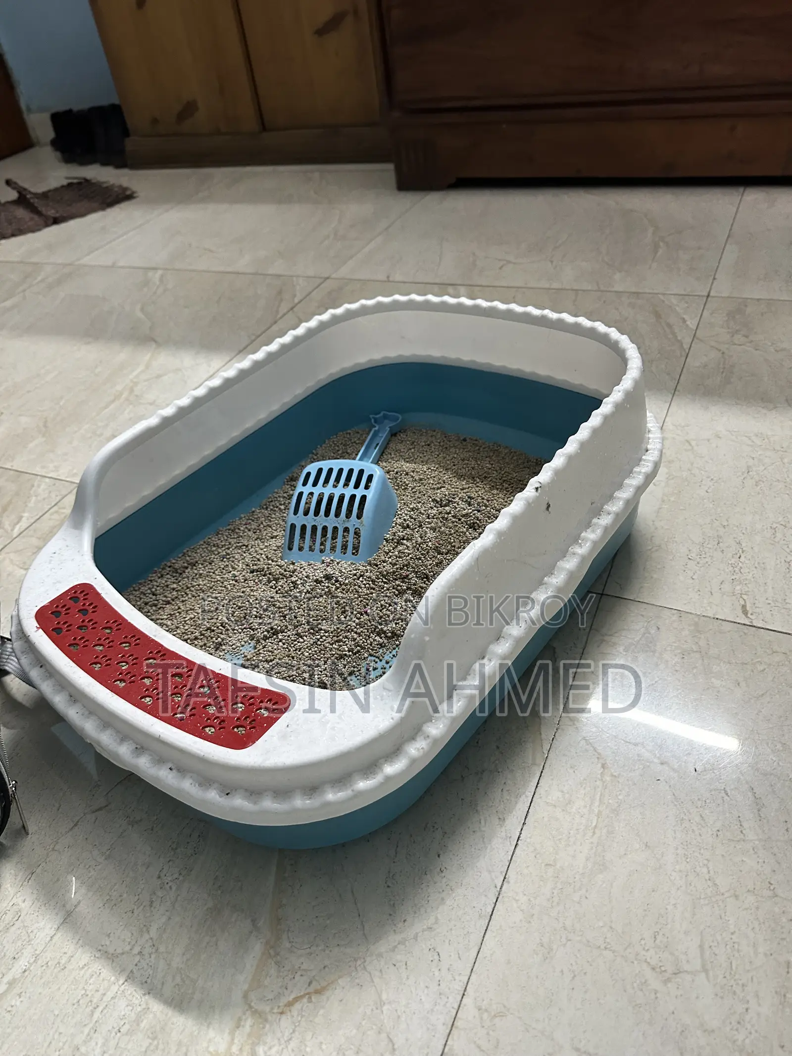 ১+ বছরের ফিমেল পিওরব্রেড পার্সিয়ান