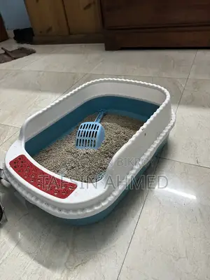 ১+ বছরের ফিমেল পিওরব্রেড পার্সিয়ান
