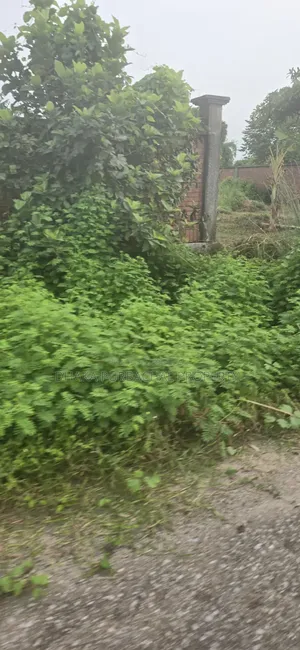 Rajuk Purbachal 3 Katha South Facing Plot