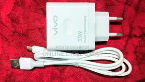 Vivo 33W Super Fast Charger (Original Quality)