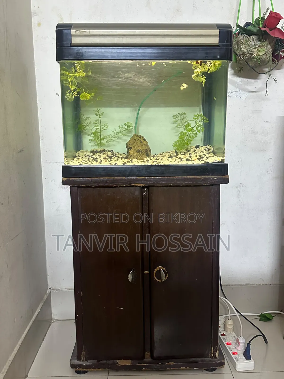 Aquarium