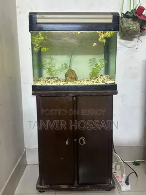 Aquarium