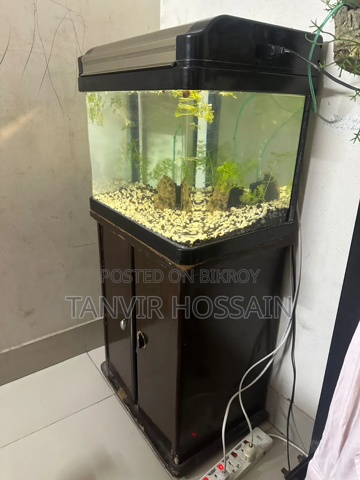 Aquarium