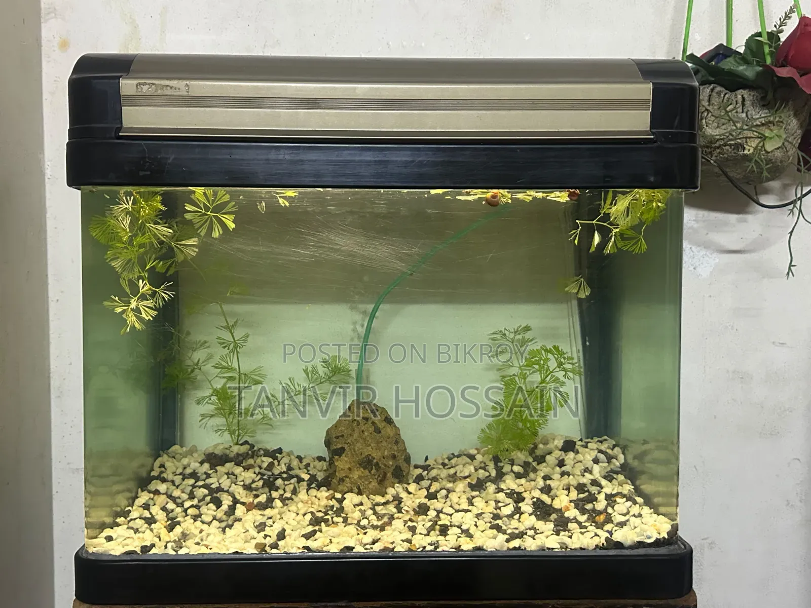 Aquarium