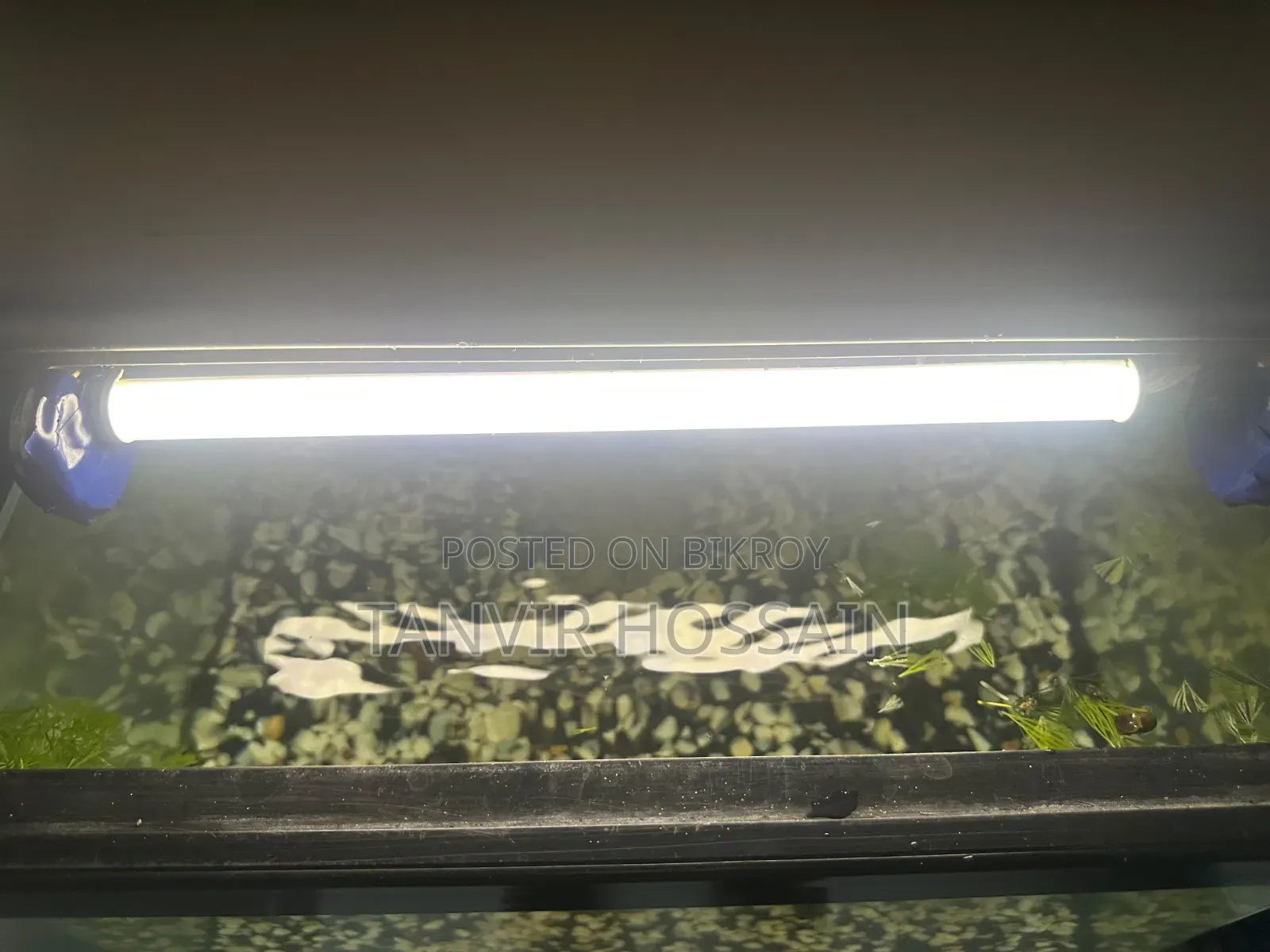 Aquarium