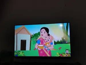 Singer 43" TV