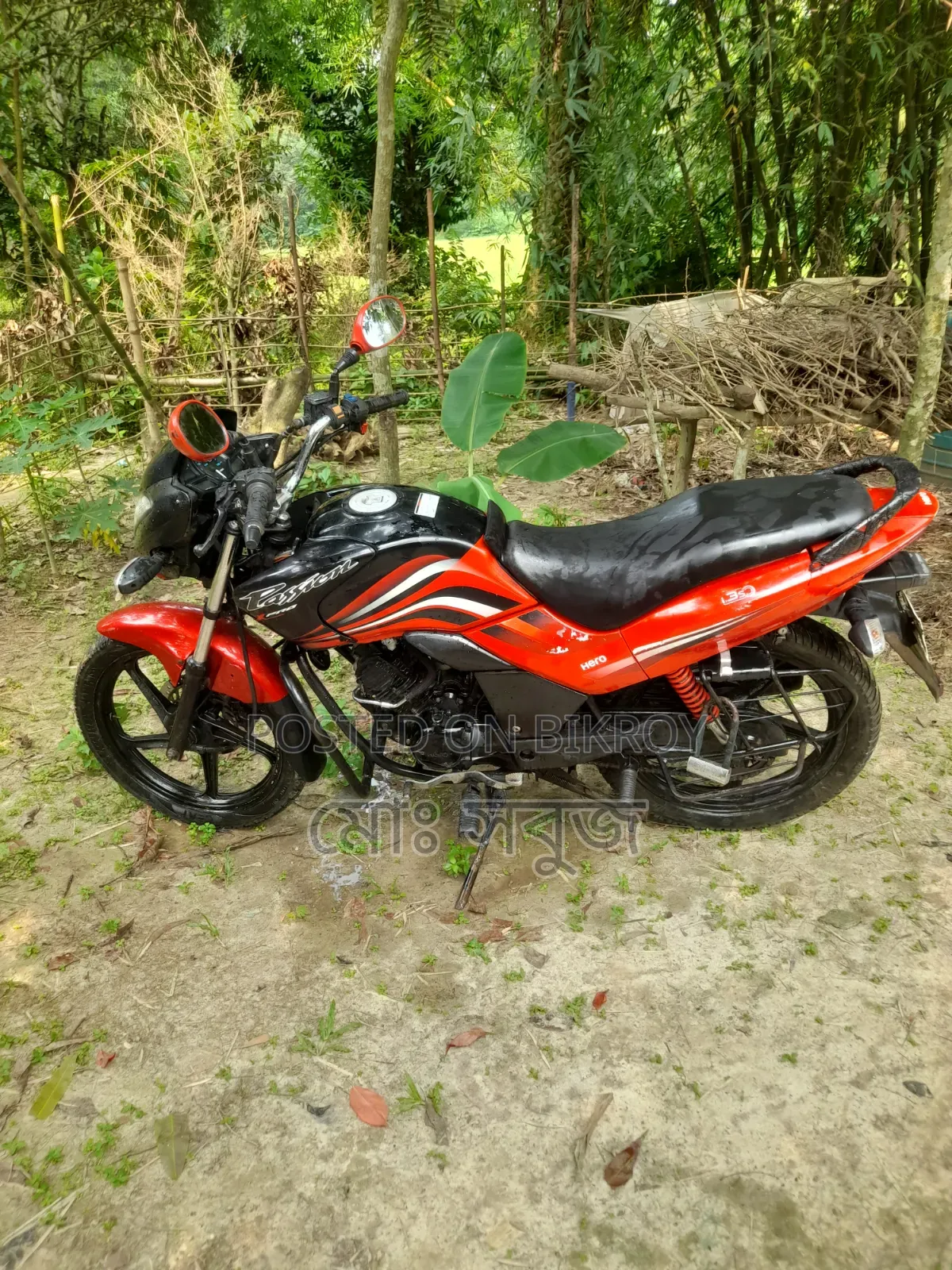Hero Passion Pro ২০১৯ লাল