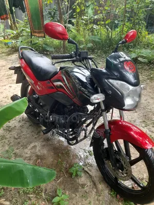 Hero Passion Pro ২০১৯ লাল