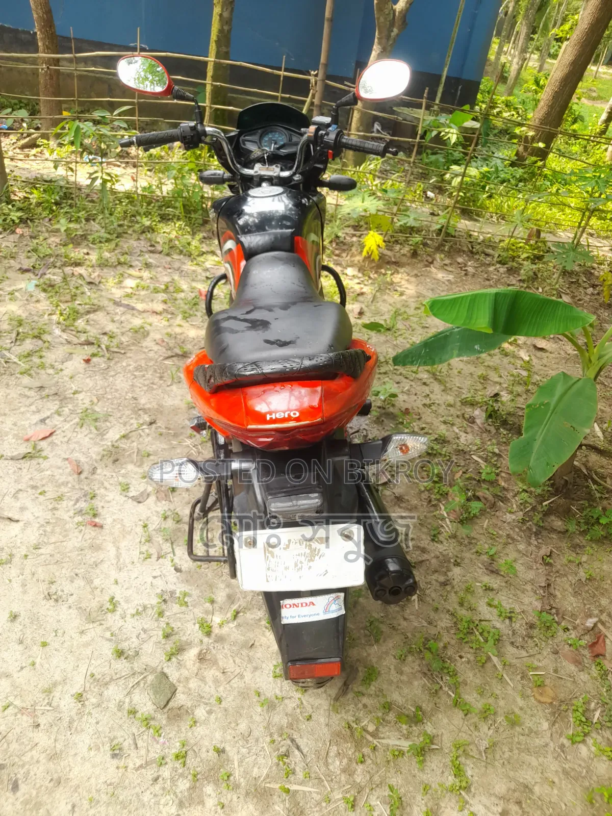 Hero Passion Pro ২০১৯ লাল