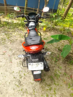 Hero Passion Pro ২০১৯ লাল
