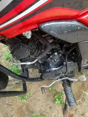 Hero Passion Pro ২০১৯ লাল