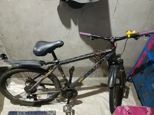 This bicycle will be sold
