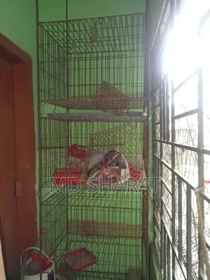 খাঁচা ৩ তাক