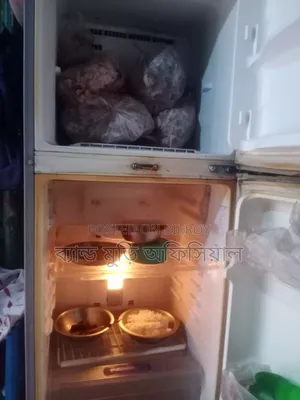 Samsung Fridge