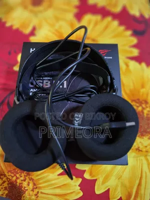 Headphone Havit