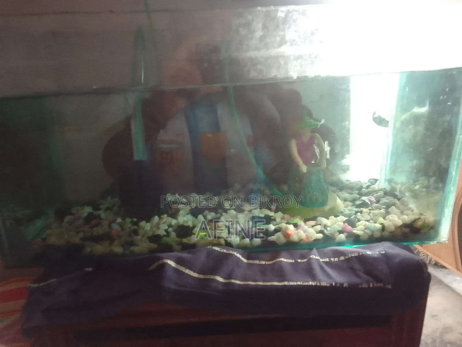 Aquarium Fish Tank With Oxygen Pump and Fish