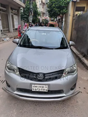 Toyota Axio 2013 Silver