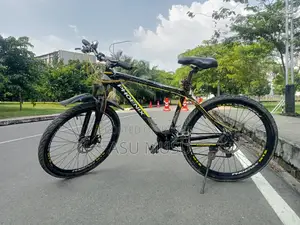 Cycle - Phoenix