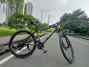 Cycle - Phoenix