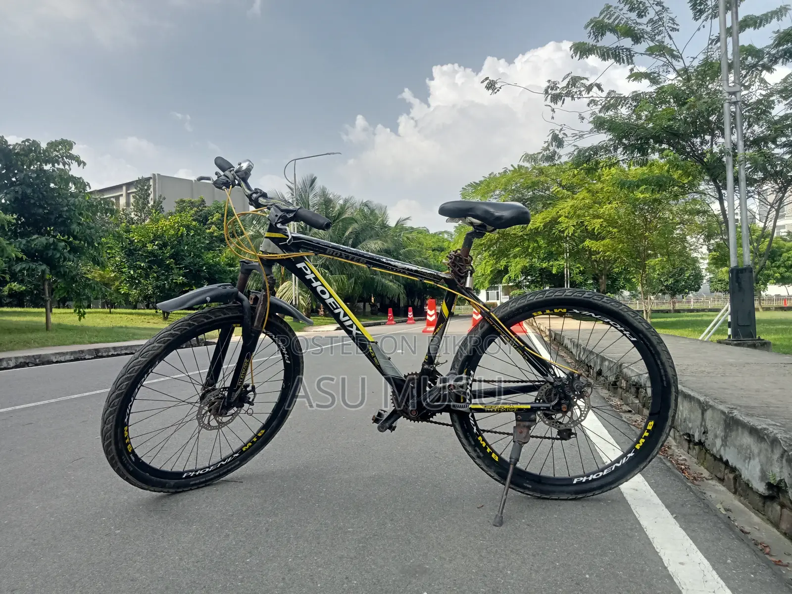 Cycle - Phoenix