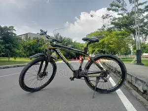 Cycle - Phoenix