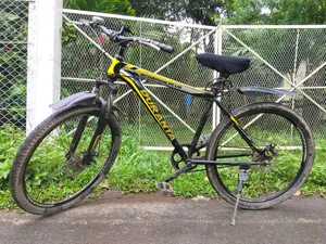 Duranta Cycle 26 Inch