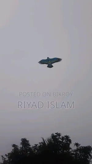 A very beautiful kite