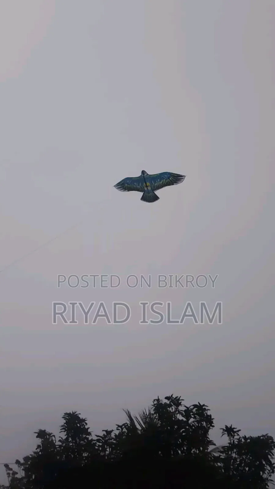 A very beautiful kite