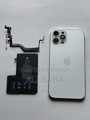 iPhone 12 Pro Max Parts
