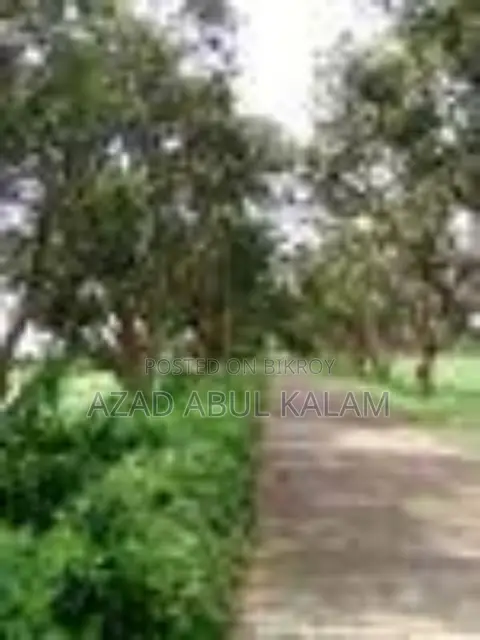 Land to Be Sale to Build Garden Home or Banglow